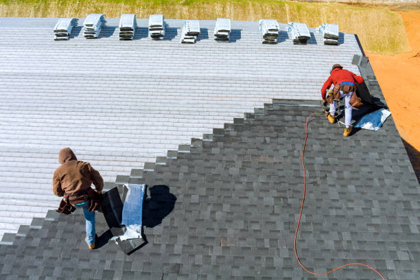 Roof Gutter Cleaning in Shields, MI