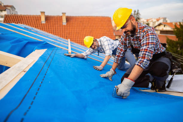 Best Best Roofing Contractors  in Shields, MI
