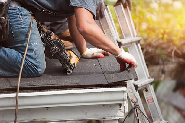 Residential Roof Replacement in Shields, MI